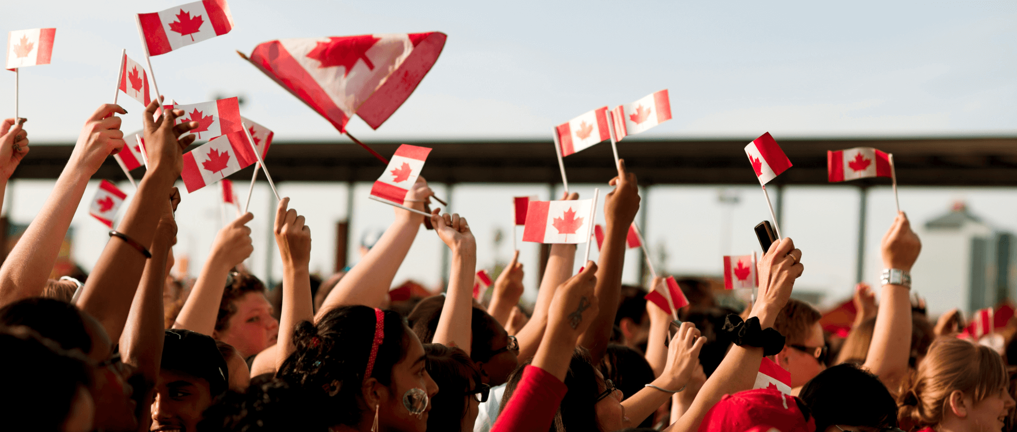 people holding canadian flags